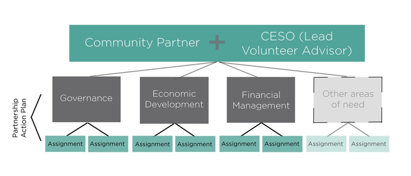 ceso partnership model small